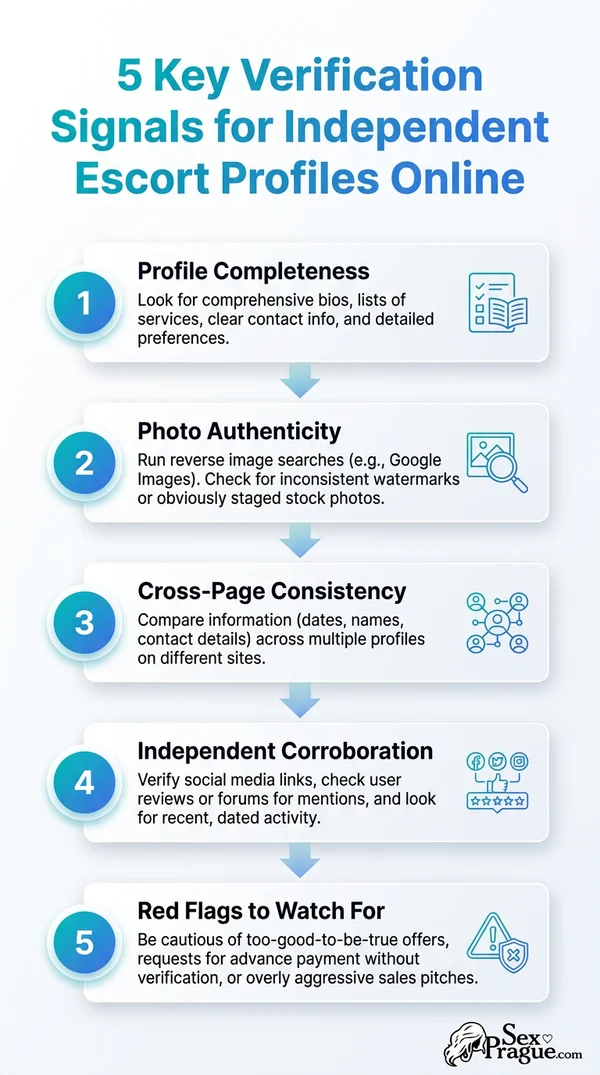 Infographic showing five key verification signals for independent escort profiles online.
